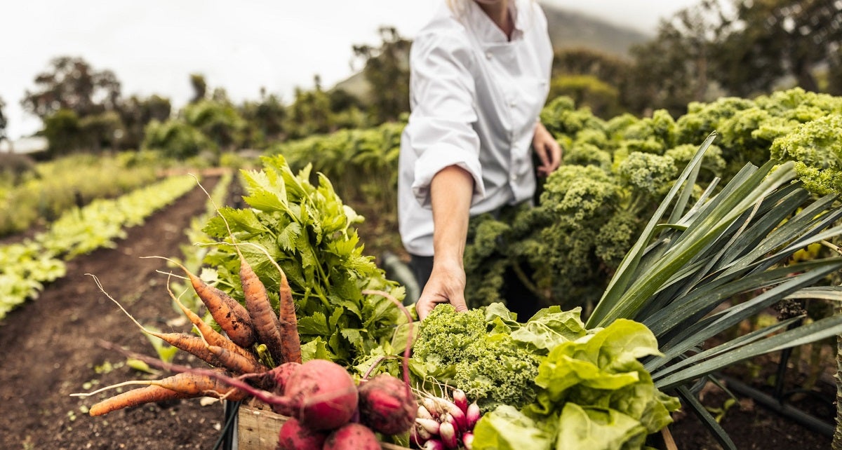 farm-fresh vegetables