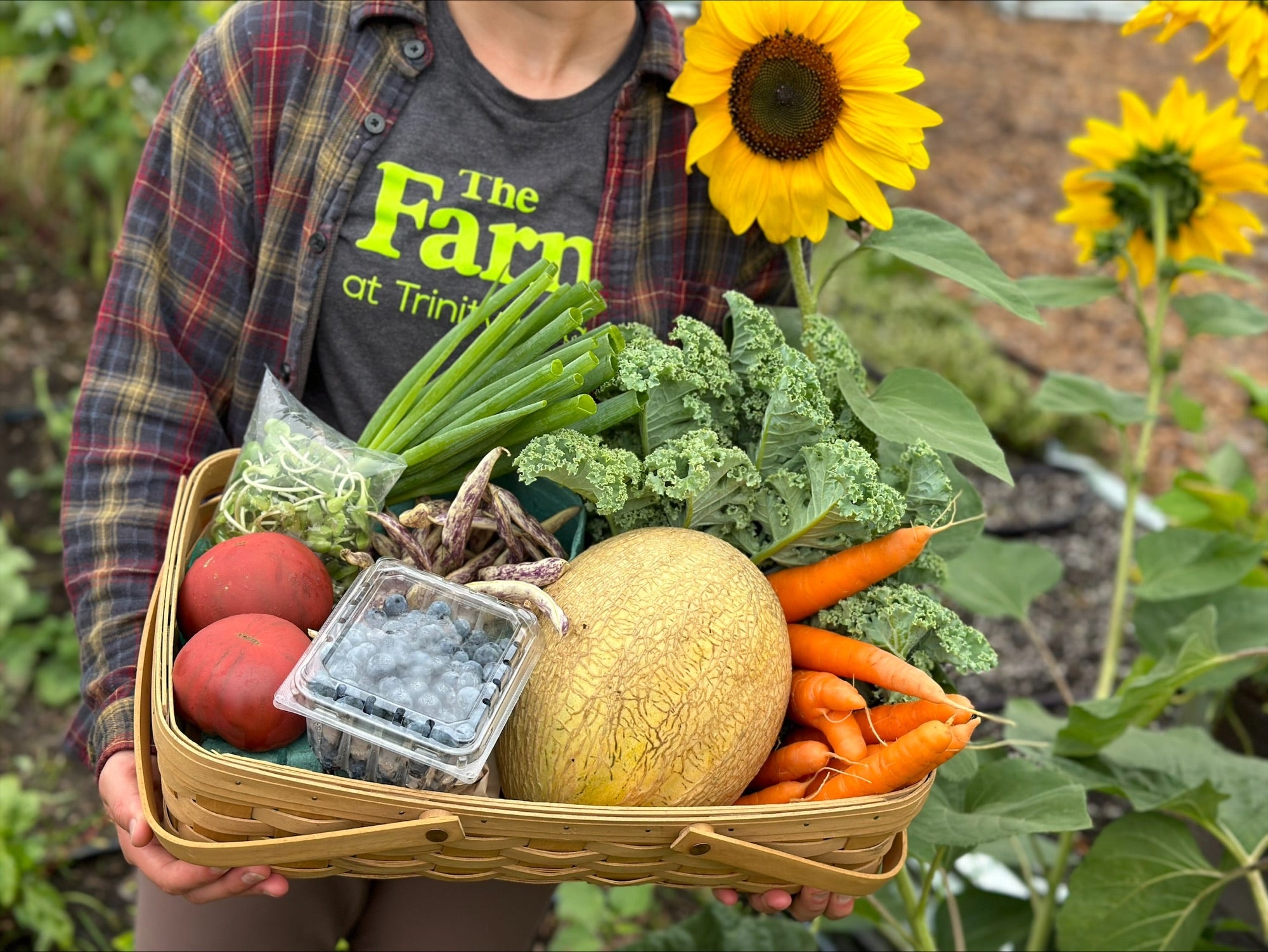 Farm