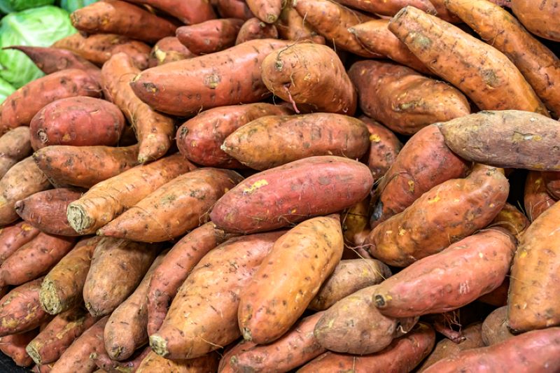 bunch of sweet potatoes