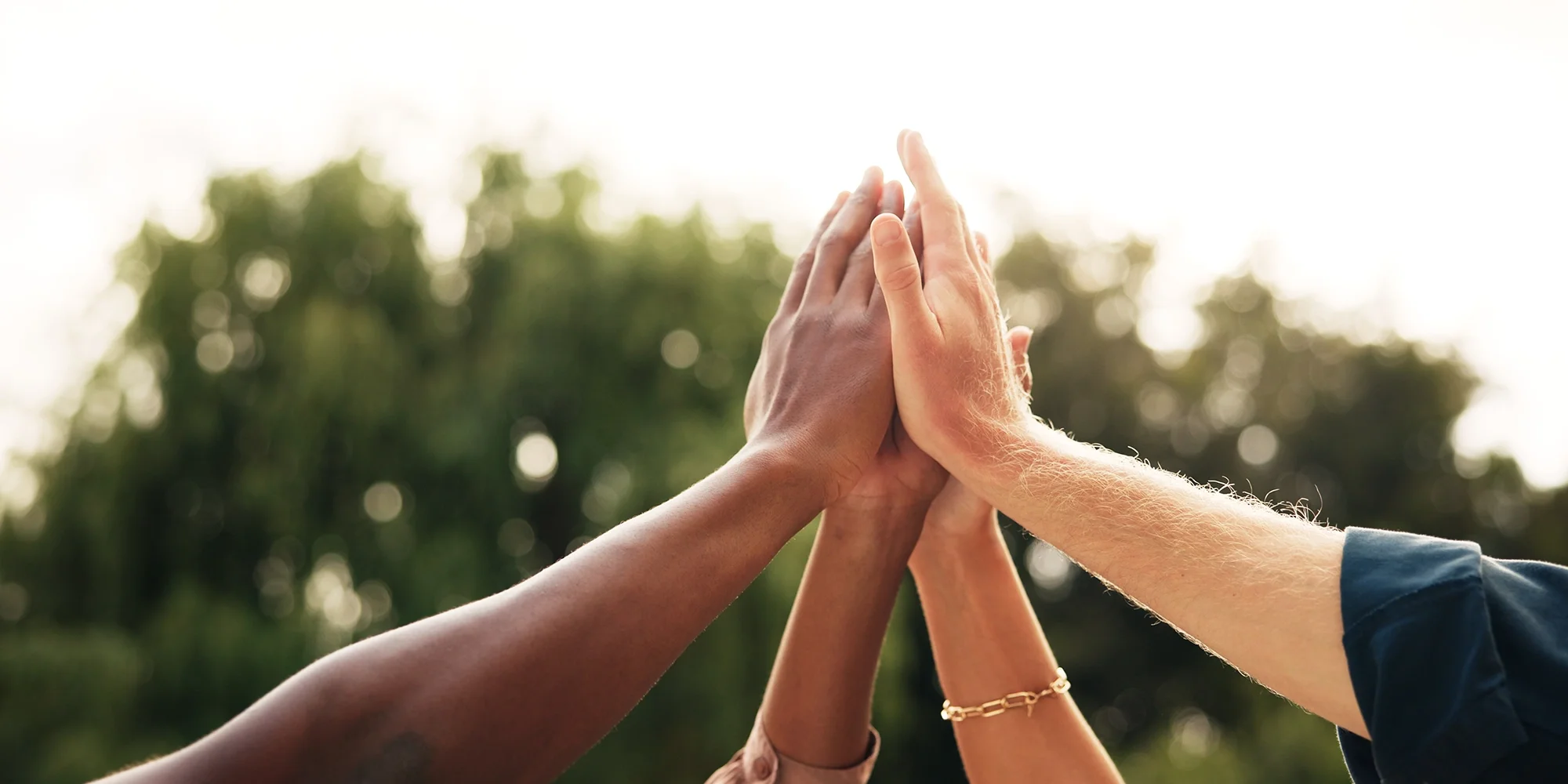 Three hands high five in the air. There are green trees in the background.