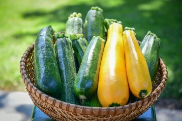 Easy Ways to Store and Cook Summer Squash | Trinity Health Michigan