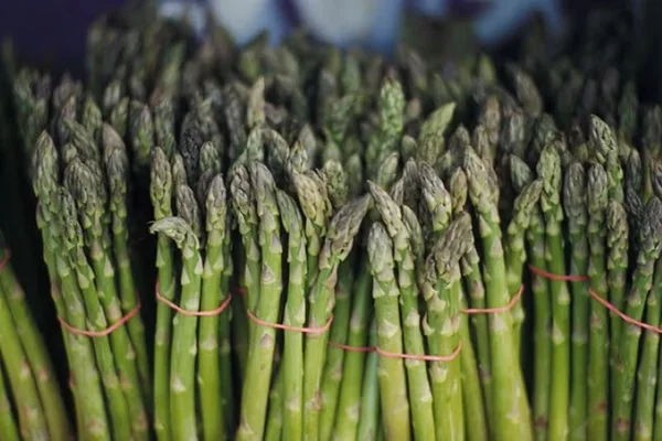 A bundle of asparagus