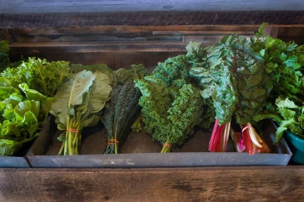 A bundle of greens