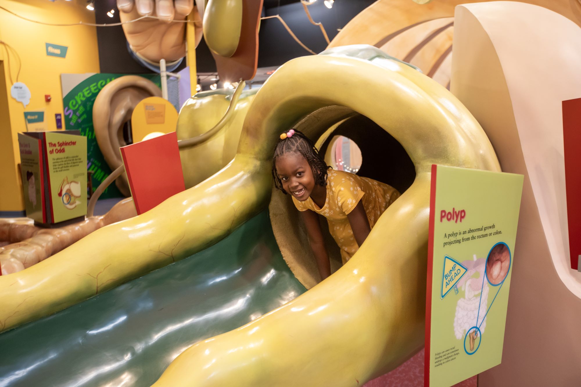 girl peeking out of polyp-shaped slide