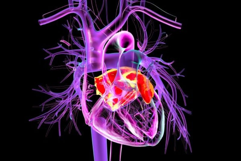 Heart graphic