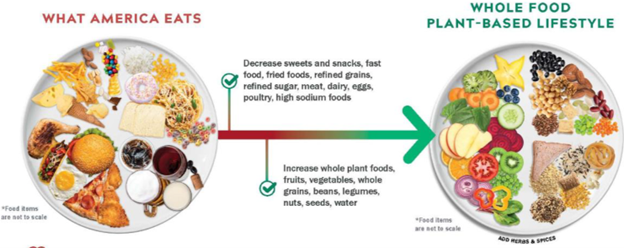 Two plates side by side; one with fruits, vegetables and grains and one with fried, sugared and salted foods