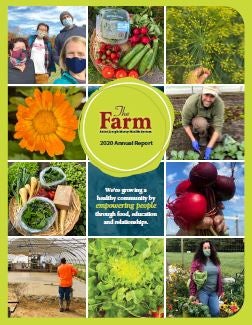 2020 Annual Report Cover Photo Blog Post