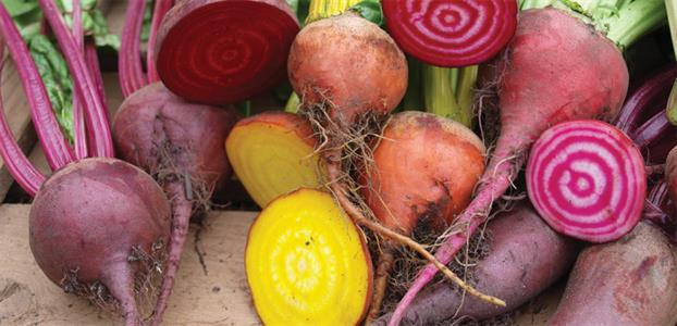 Beets.png