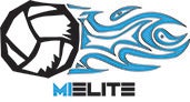 Michigan Elite
