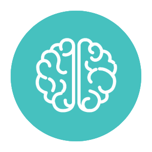 Brain