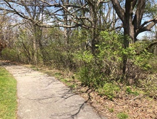 Natural area