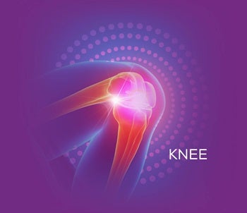 Knee