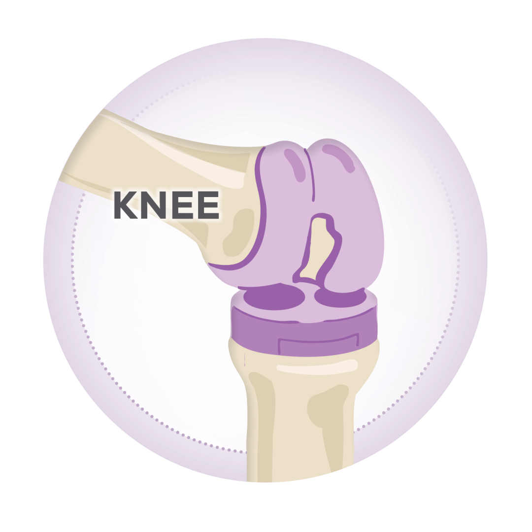 knee