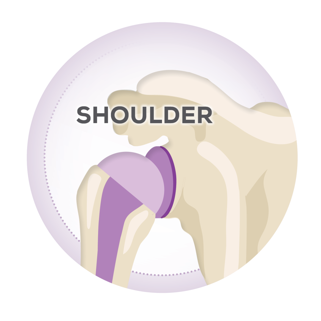 shoulder