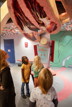kids looking up at lungs