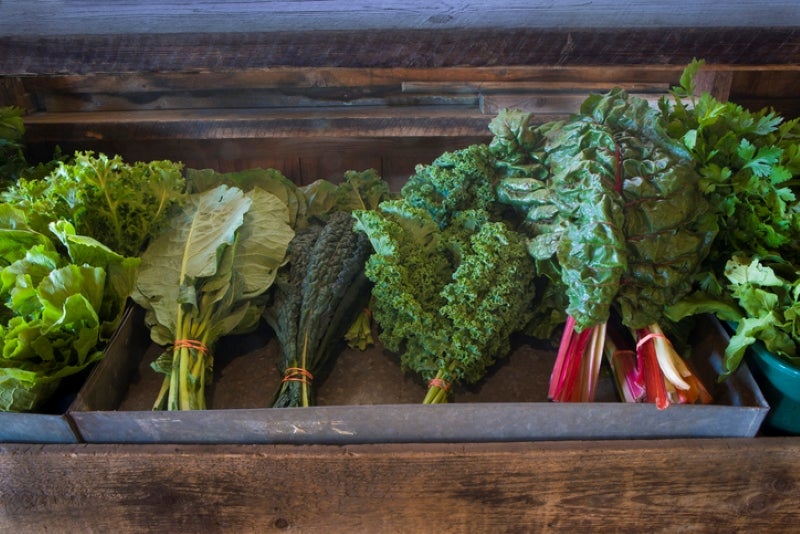 fresh bunches of greens (Kale, Collard Greens and Chard)